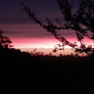 Meet your Posher, Candace